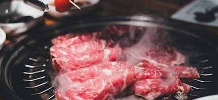 ninja foodi grill xl manual pdf