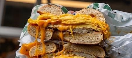 bagel bites pizza instructions