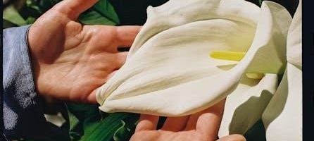 ss13 guide to botany